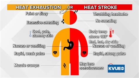 How to know if you have heat exhaustion or heat stroke